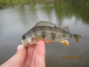IMG_0559.JPG