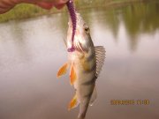 IMG_0560.JPG