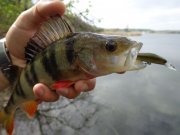DSC01003.JPG