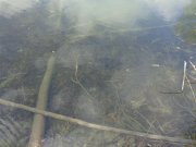 DSC01006.JPG