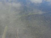 DSC01014.JPG