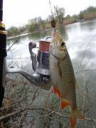 DSC01020.JPG