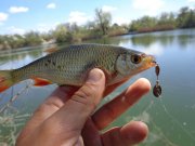 DSC01023.JPG