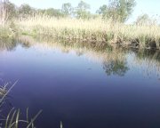 Photo-0002.jpg