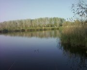 Photo-0010.jpg