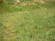 DSCN1404.JPG