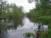 IMG_0569.JPG