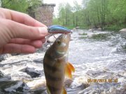 IMG_0570.JPG