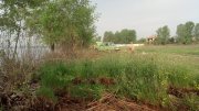 2013-05-05_07-30-17_284.jpg