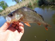 DSC01028.JPG