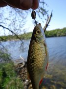 DSC01035.JPG