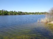 DSC01038.JPG