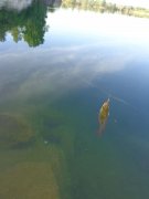 DSC01078.JPG