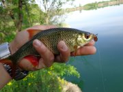 DSC01084.JPG
