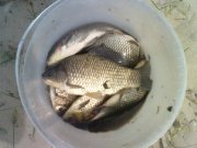 12052013882.jpg