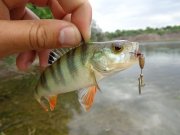 DSC01093.JPG