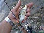 DSC01100.JPG