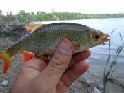 DSC01104.JPG