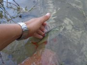 DSC01105.JPG