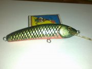 22042013111.jpg