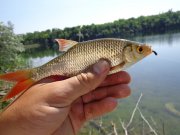 DSC01111.JPG