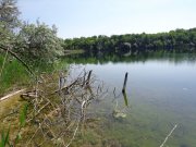 DSC01112.JPG