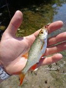 DSC01114.JPG