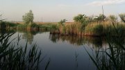 2013-05-17_06-40-13_396.jpg