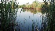 2013-05-17_06-39-46_33.jpg