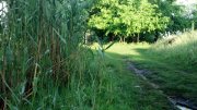 2013-05-17_06-39-58_376.jpg