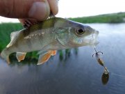DSC01127.JPG
