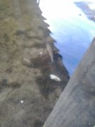 2013-05-24 19.35.48.jpg