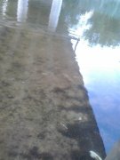 2013-05-24 19.35.51.jpg