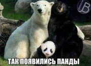getImage.jpg