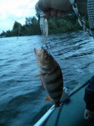 IMG_20130524_101104.jpg