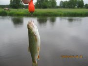 IMG_0584.JPG