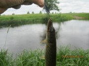 IMG_0585.JPG