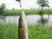 IMG_0586.JPG
