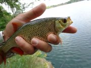 DSC01139.JPG