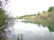 DSC01137.JPG