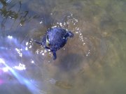 IMG_20130525_113816.jpg