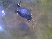 IMG_20130525_113830.jpg