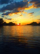 WP_000254.jpg