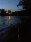 WP_000262.jpg