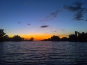 WP_000263.jpg