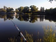 WP_000272.jpg