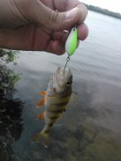 WP_000763.jpg