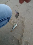WP_000765.jpg