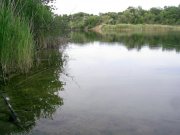 30-05-3.jpg