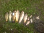 290520131020.jpg